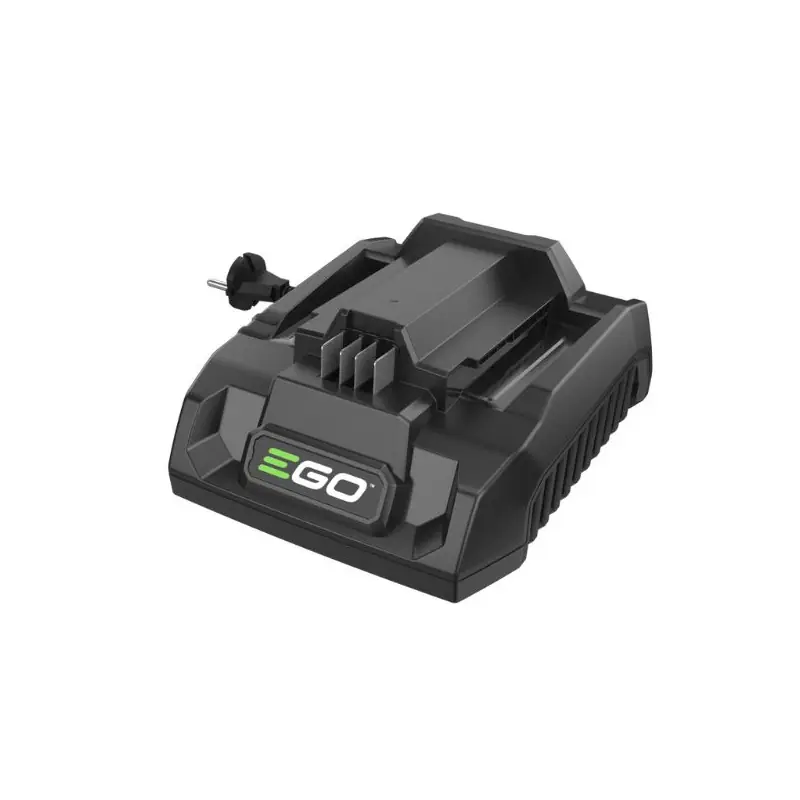 Prix Cassé Chargeur rapide EGO CH3200E