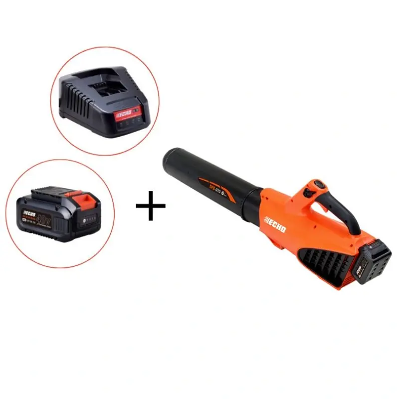 Vente Directe Souffleur à batterie Echo DPB310 pack