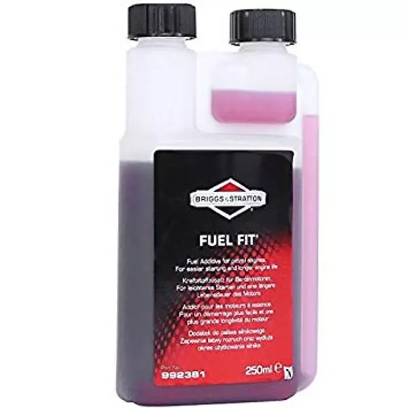 Meilleur Prix Additif essence 250 ml Briggs & Stratton, 992381