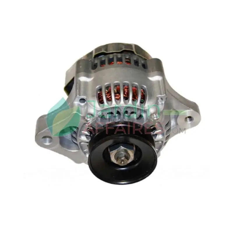 Promotion Saisonnière Alternateur Denso 100211-1670 pour moteur Kubota, réf. Gianni Ferrari 00.55.01.0550