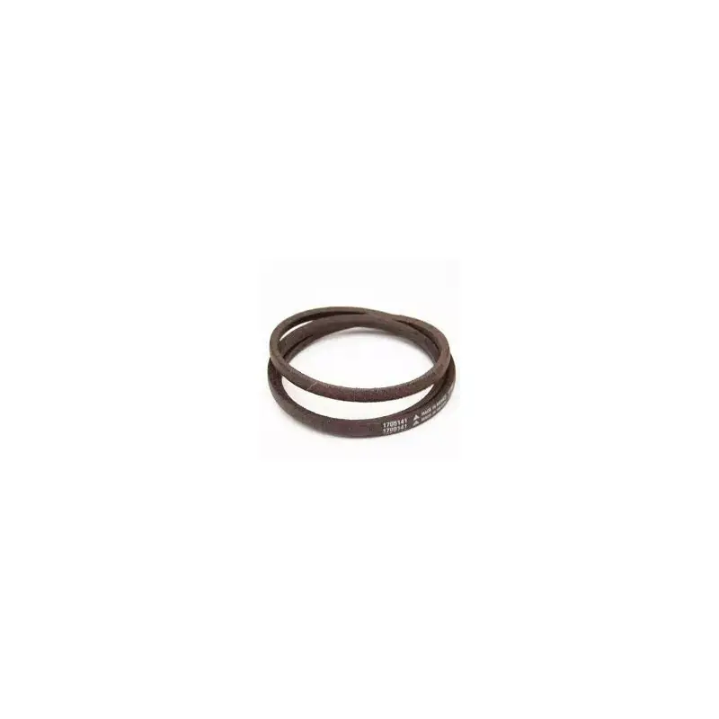 Courroie d‘avancement tracteur tondeuse AYP, Craftsman, Bestgreen, Husqvarna 401603, 532401603 Commande En Gros