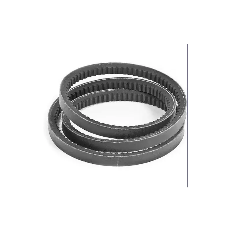 Vente Flash Courroie de transmission pour broyeur Del Morino 42800014 Centurion Super, Flipper 158, 186, 214,
