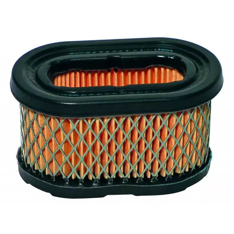 Filtre à air Briggs & Stratton 494586, 497725 Super Prix