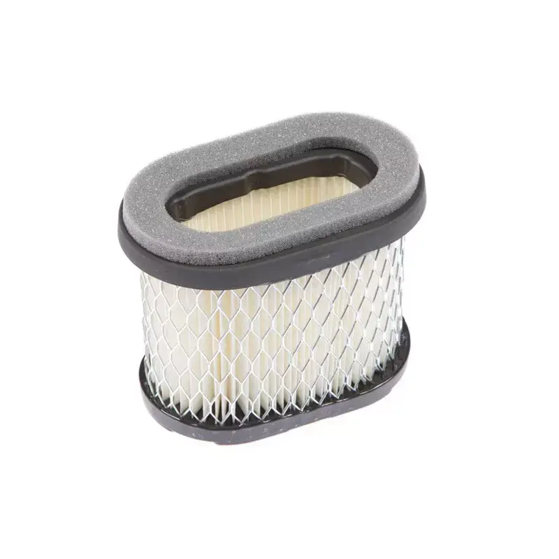Affaire À Saisir Filtre à air Briggs et Stratton 697029
