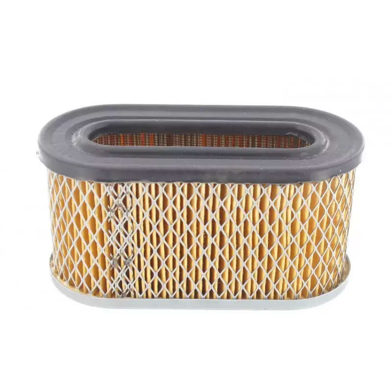 Filtre à air Briggs et Stratton, 491950, 491950S Quantité Limitée