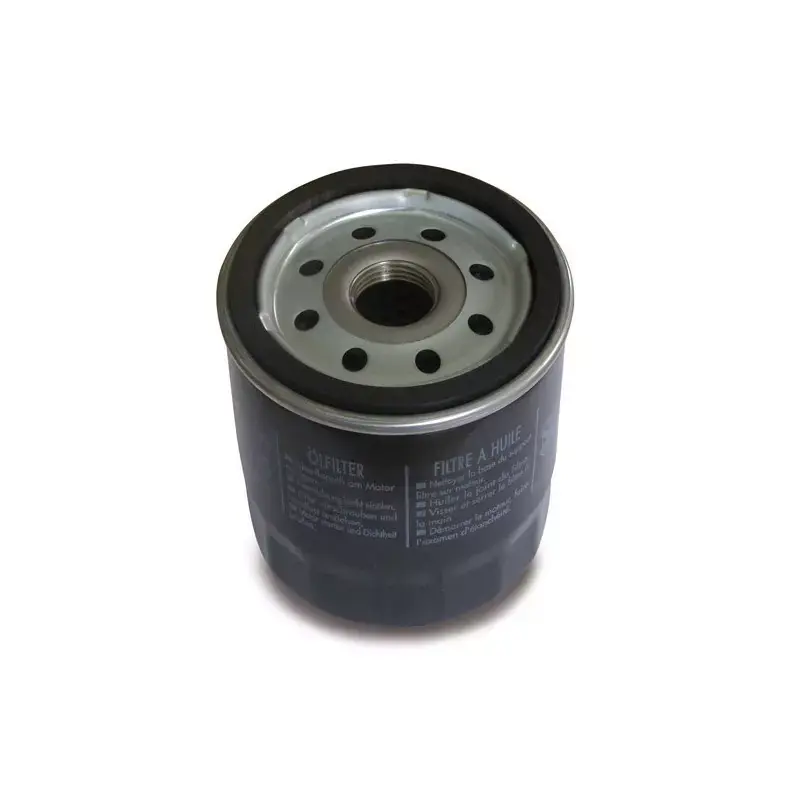 Seulement Aujourd&rsquo;hui Filtre à huile Briggs et Stratton 491056