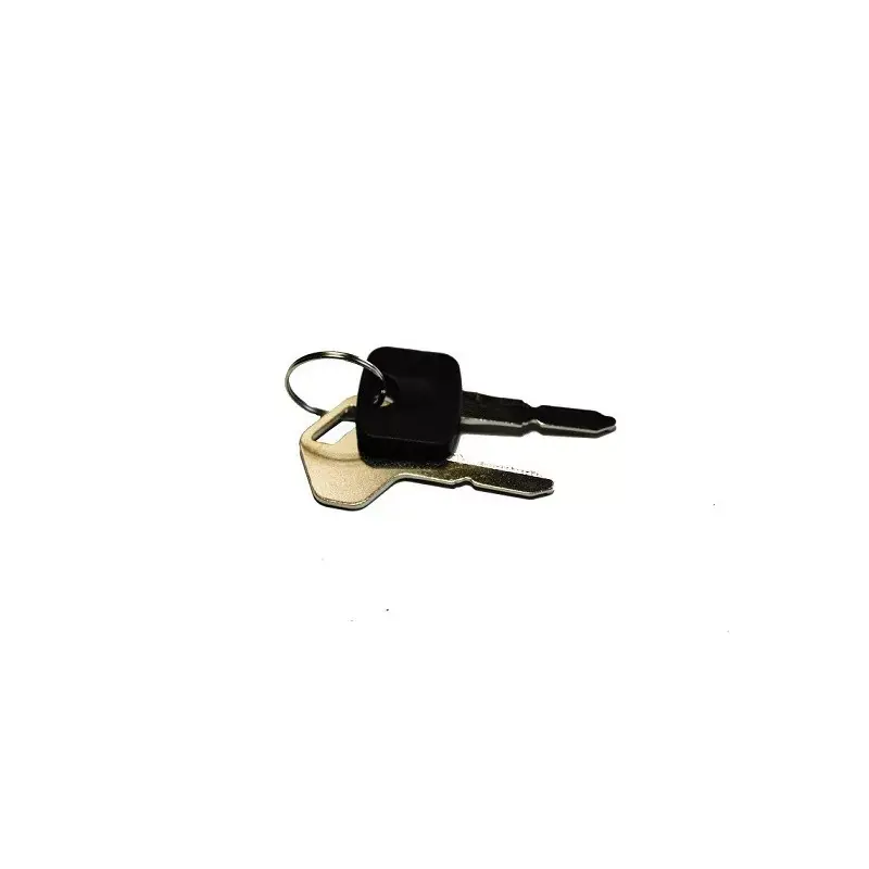 Jeu de Cle de contact GGP, 118210023/0 Nouvelle Collection