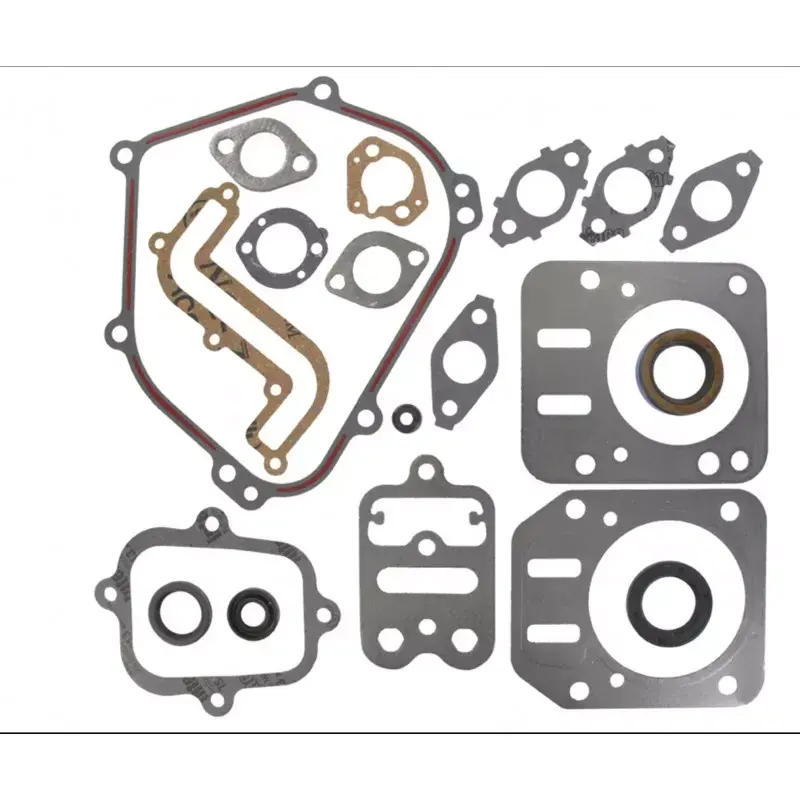 Jusqu&rsquo;à Épuisement Des Stocks Kit joints moteur Briggs and Stratton 791797