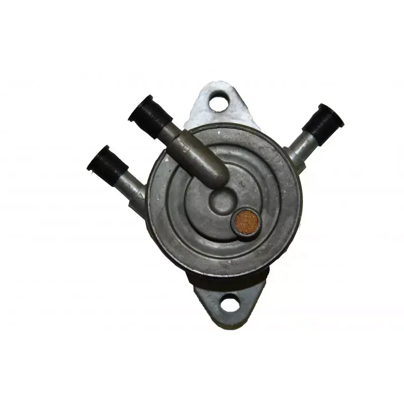 Réduction Pompe à essence métallique moteur Briggs et Stratton, 491922, 808656, 692026