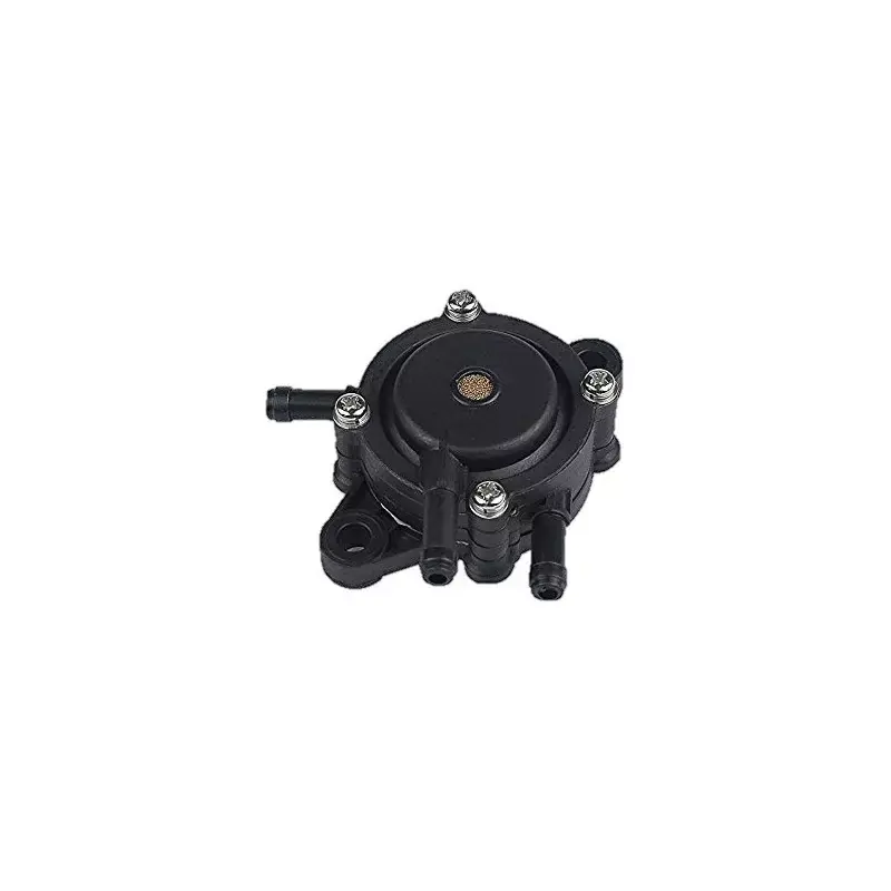 Nouvel Arrivage Pompe à essence moteur Briggs et Stratton, 491922, 808656, 692026