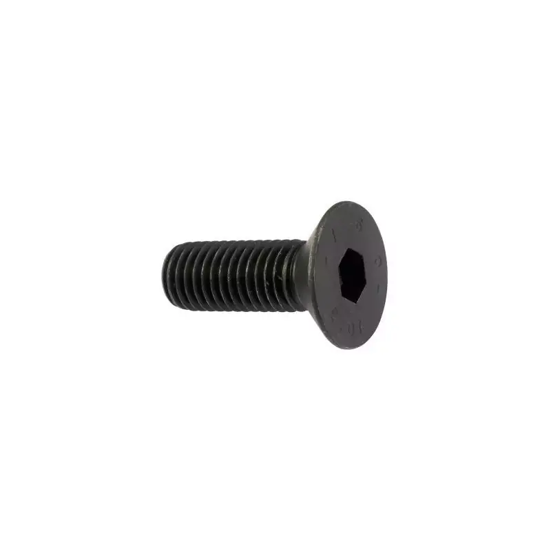 Prix Promo Vis à tête fraisée pour fixation couteau de broyeur de végétaux Delmorino Scutum, Pugio – 40100139