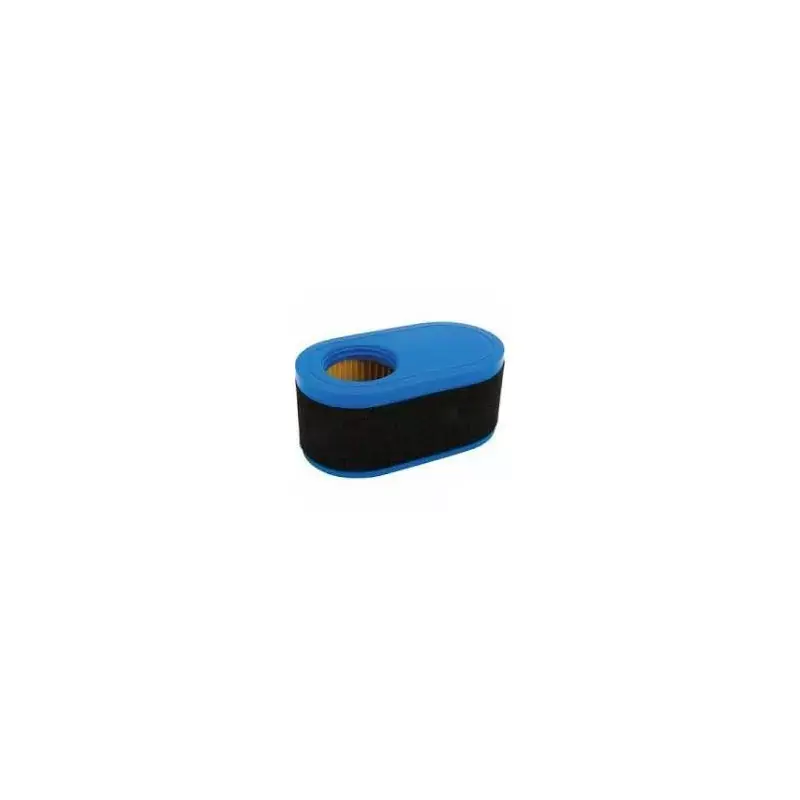 MTD FILTRE A AIR, 73705065, 737-05065 Offre Spéciale