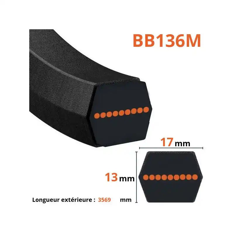 Courroie lisse hexagonale BB136M Authentique