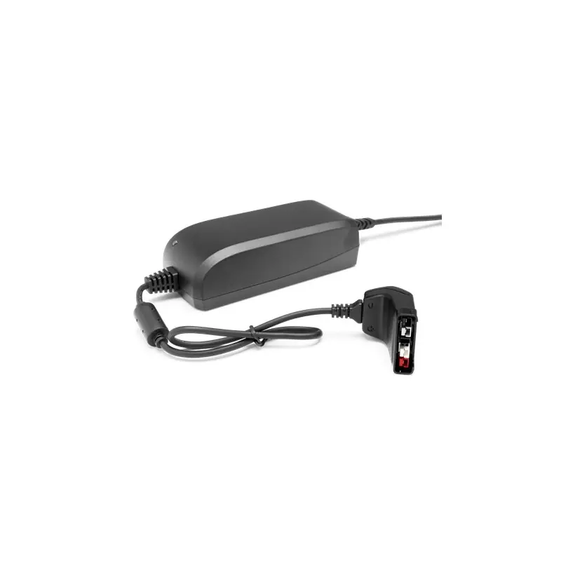 Remise Chargeur de batterie QC80