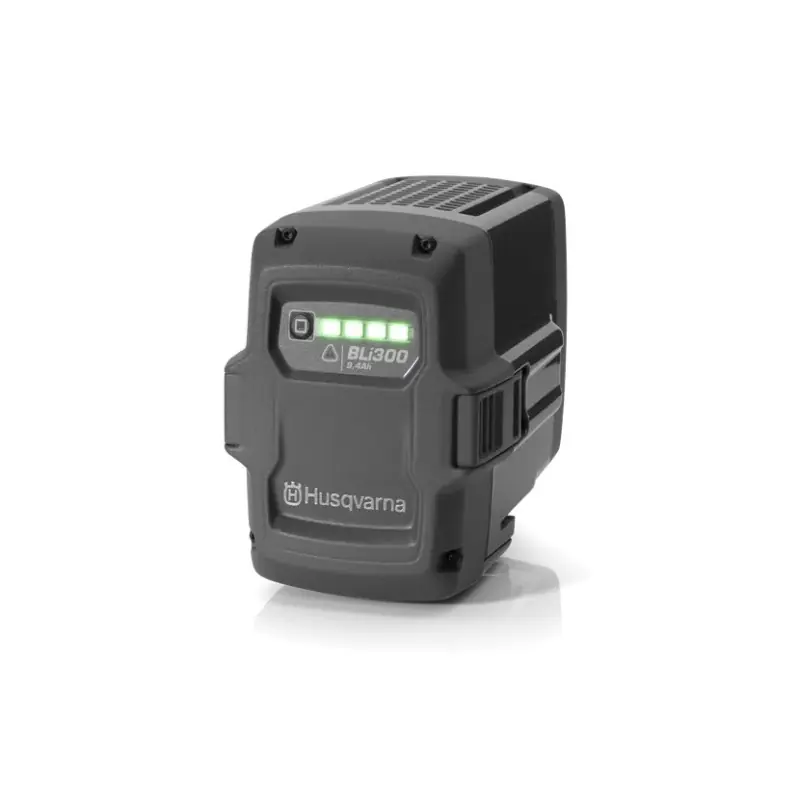 Batterie BLi300 Prix Réduit
