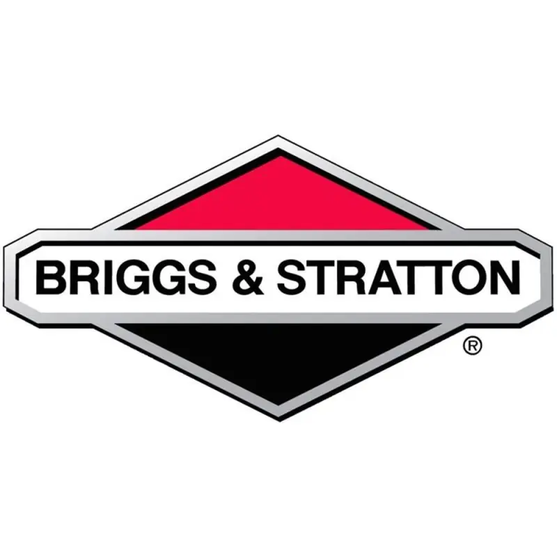 VIS GR5 NOIR 7012333YP Briggs and stratton Prix Cassé