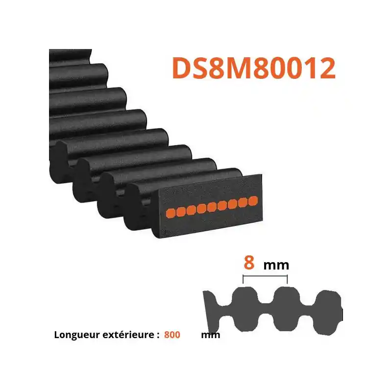 Promotion Courroie plate double dentée DS8M80012