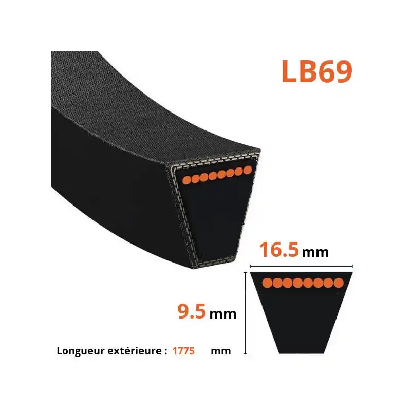 Courroie lisse trapézoïdale LB69 Authentique