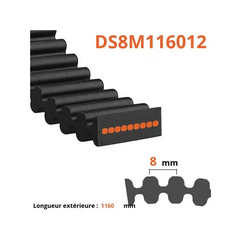 Bon Marché Courroie plate double dentée DS8M116012