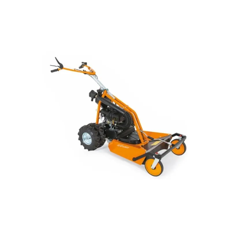 Produit De Marque Tondeuse AS 63 2T ES