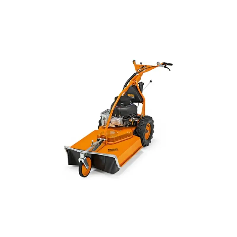 Nouveauté Tondeuse AS 65 4T B&S