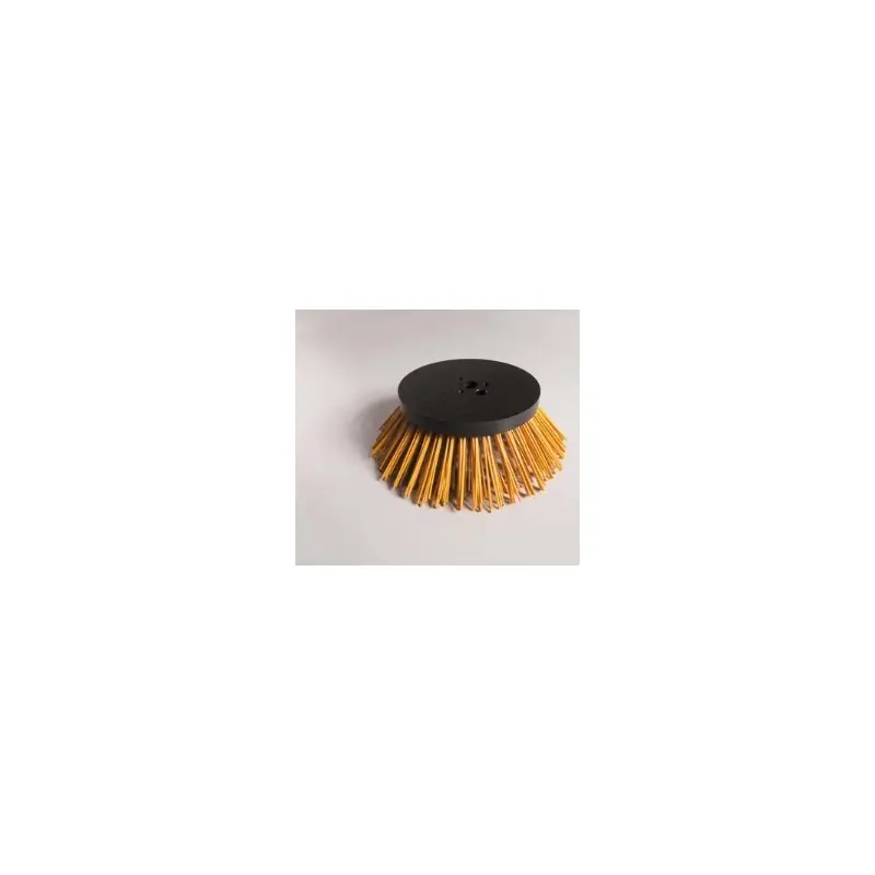 Achat Immédiat Disque de brosse, nylon AS MOTOR