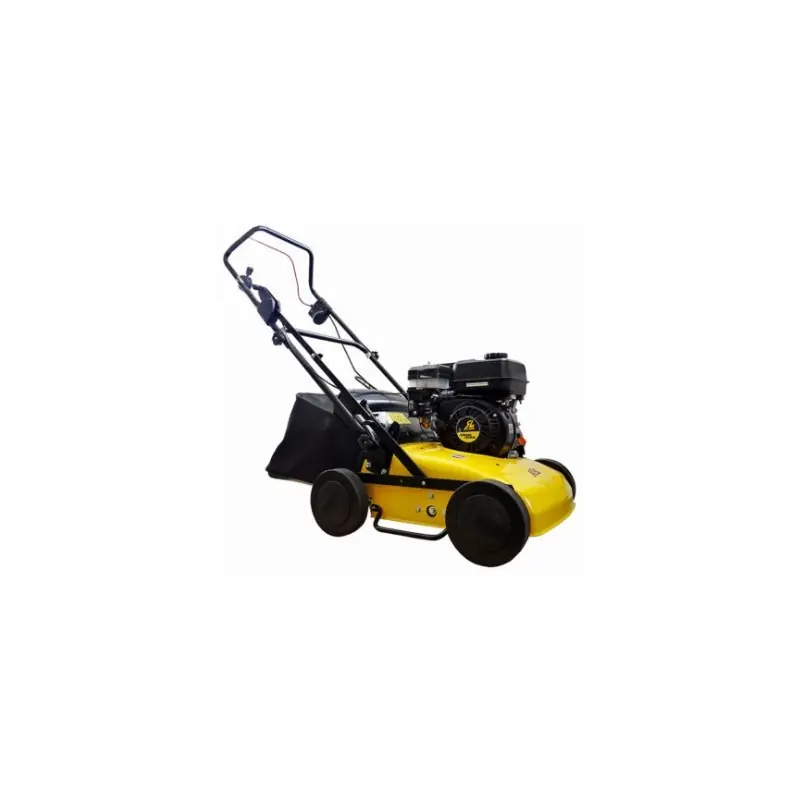 Super Prix Scarificateur électrique RL301E