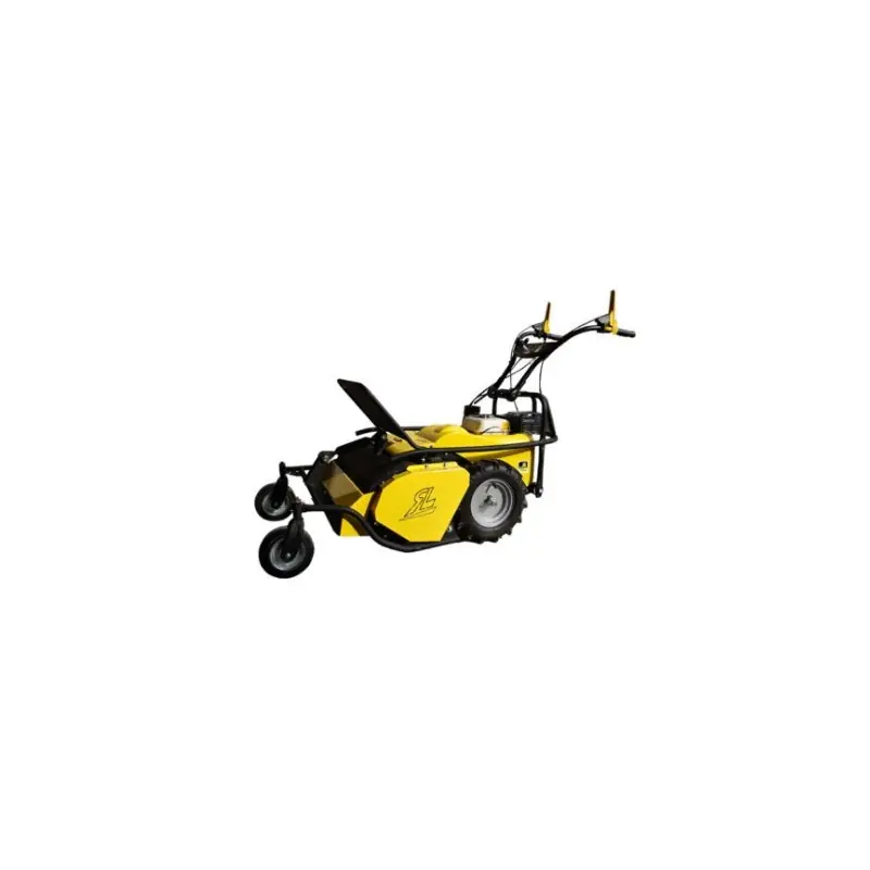 Débroussailleuse à fléaux RL460 B Bon Marché