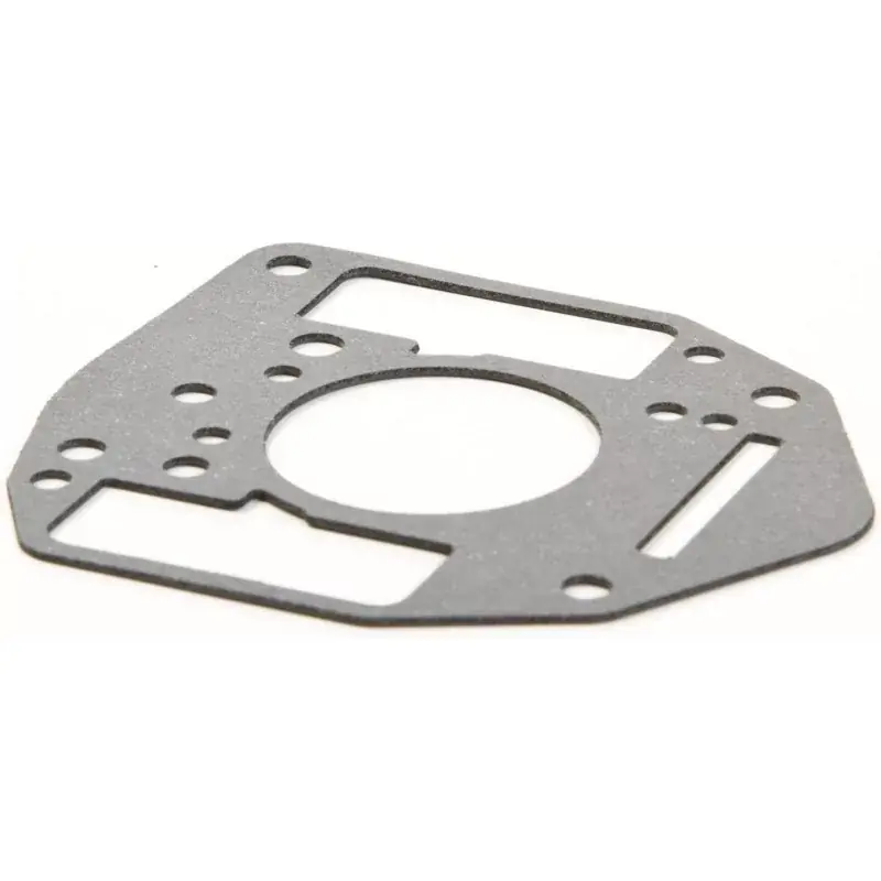 Joint Briggs et Stratton 692077 pour 805541 / 692077 Populaire