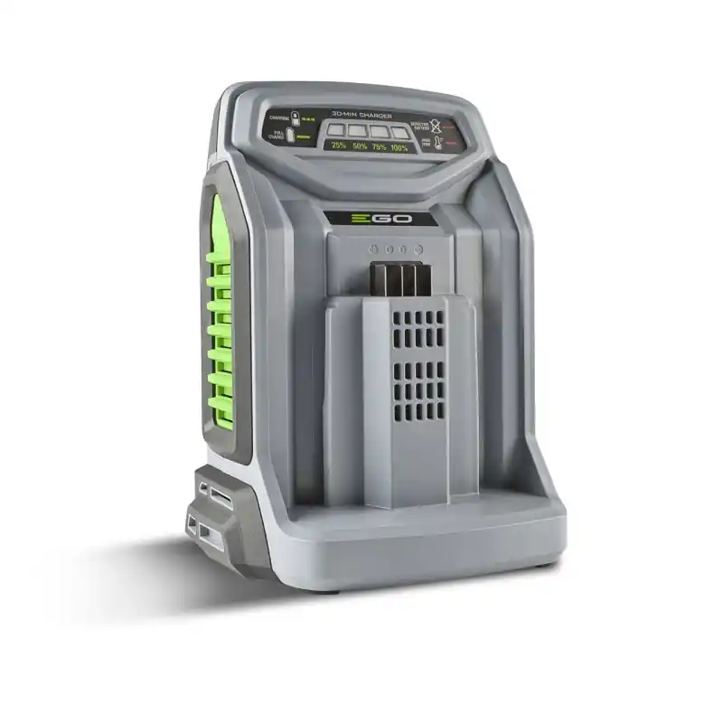 CH5500E CHARGEUR RAPIDE Authentique