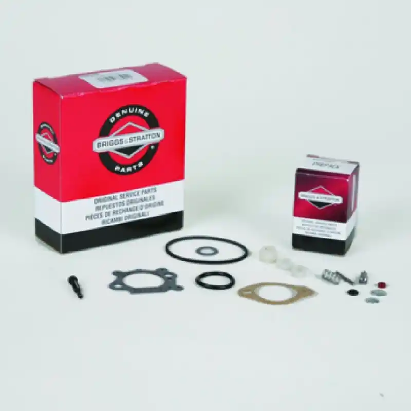 Retour Gratuit KIT CARBURATEUR ORIGINE BRIGGS & STRATTON