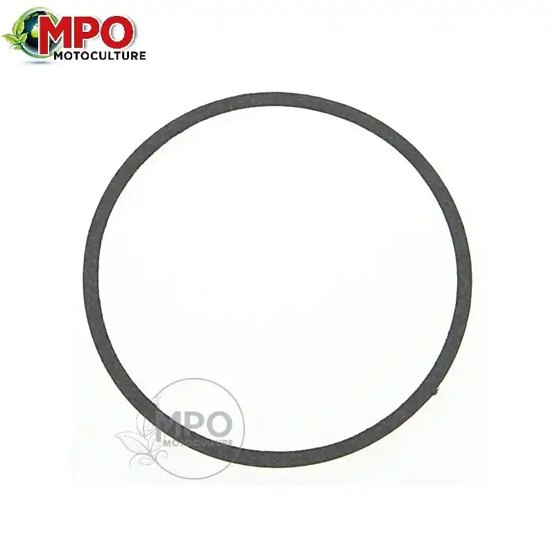 Joint de cuve pour Briggs et Stratton 270511 Authentique