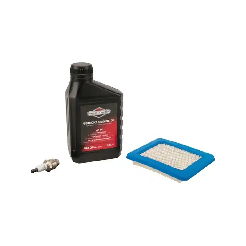 Livraison Express Kit entretien moteur Briggs et Stratton – 992244