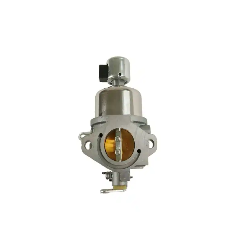 Carburateur Nikki pour moteur Briggs et Stratton – 594593 Expédié Aujourd&rsquo;hui