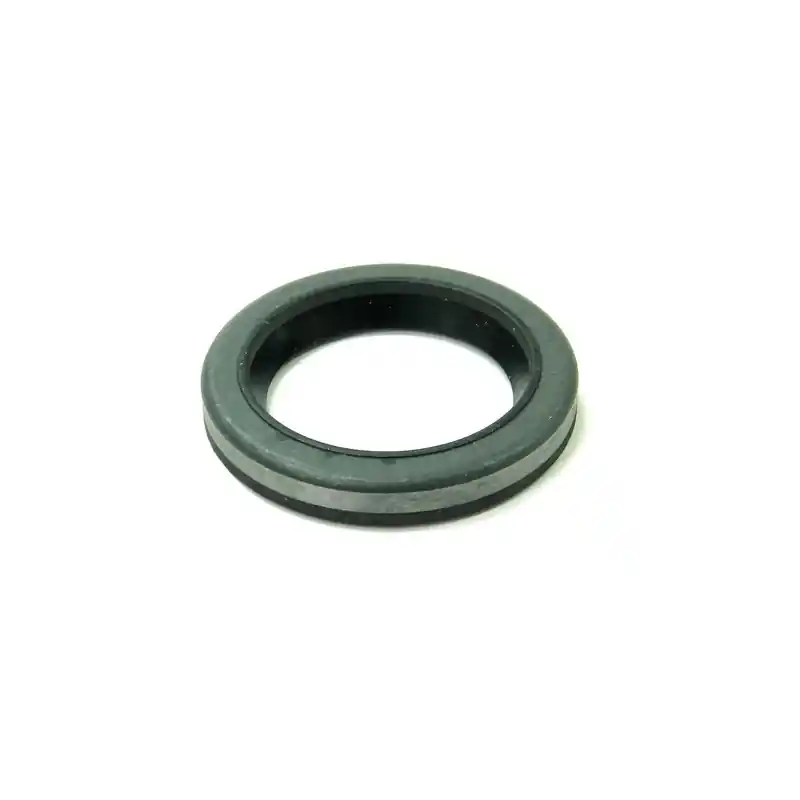 Joint spi moteur Briggs et Stratton – 299819S Offre Du Jour