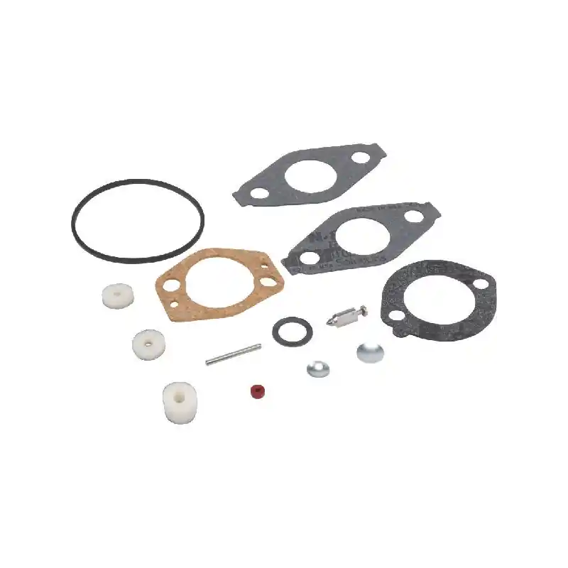 Kit joint carburateur Briggs et Stratton – 695157 Prix Bas