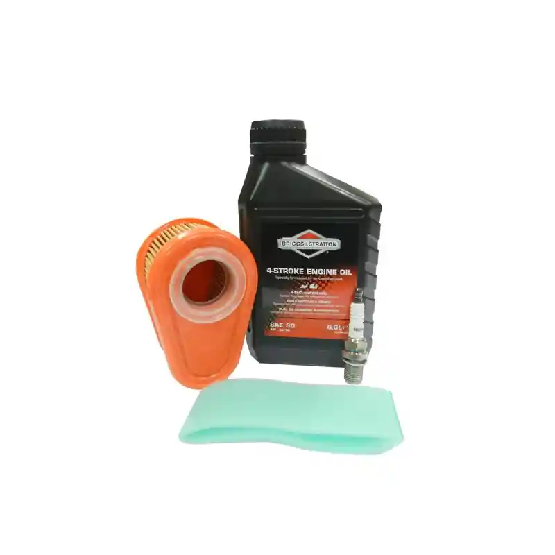 Kit entretien moteur Briggs et Stratton 992234 (huile, bougie, filtre…) Réduction