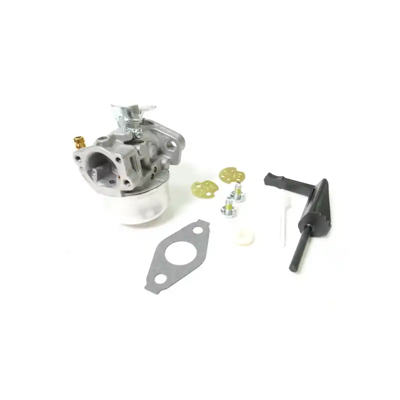 Quantité Limitée Carburateur moteur Briggs et Stratton – 798653