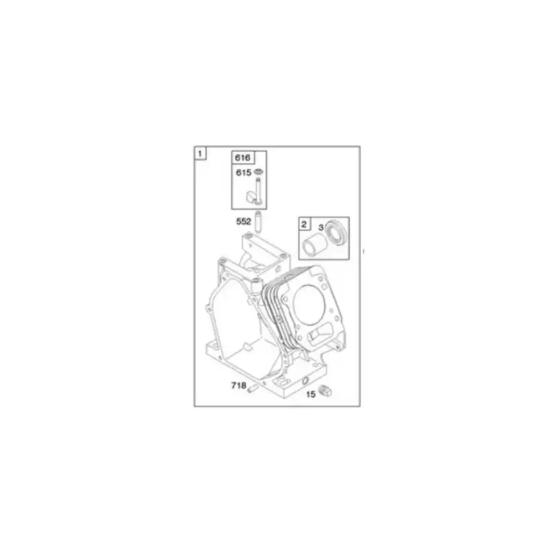 Satisfait Ou Remboursé Cylindre moteur Briggs et Stratton – 794188