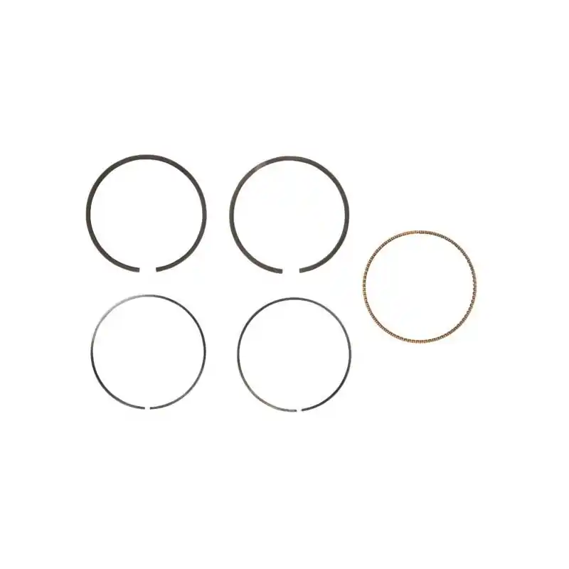 Prix Promo segments moteur Briggs et Stratton – 791969