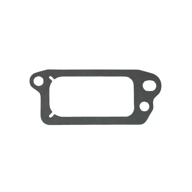 Affaire À Saisir joint cache soupapes Briggs et Stratton – 699833
