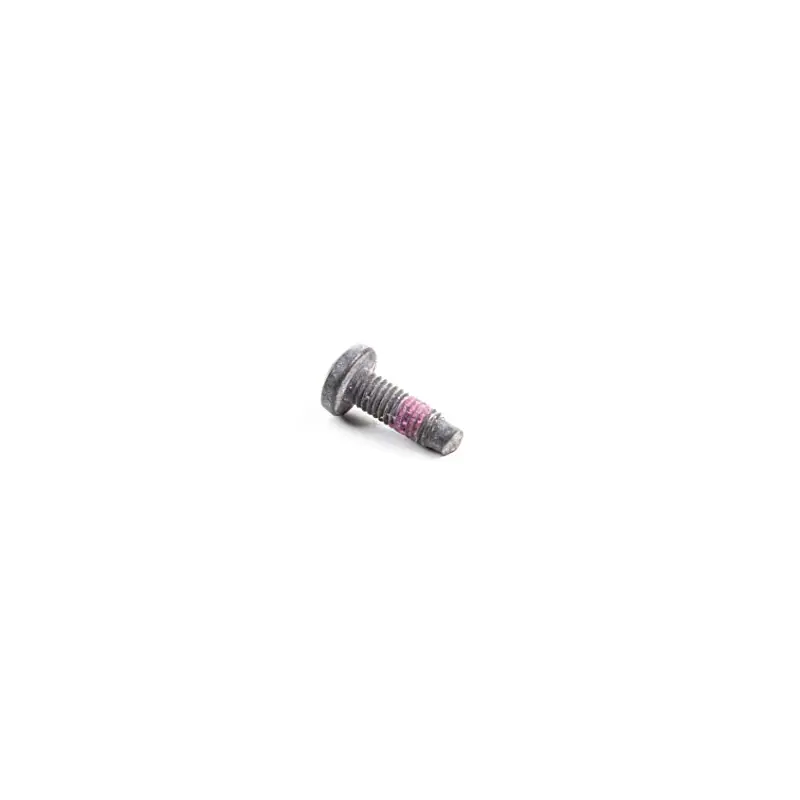 Dernier Modèle Vis fixation carburateur Briggs et Stratton – 790029
