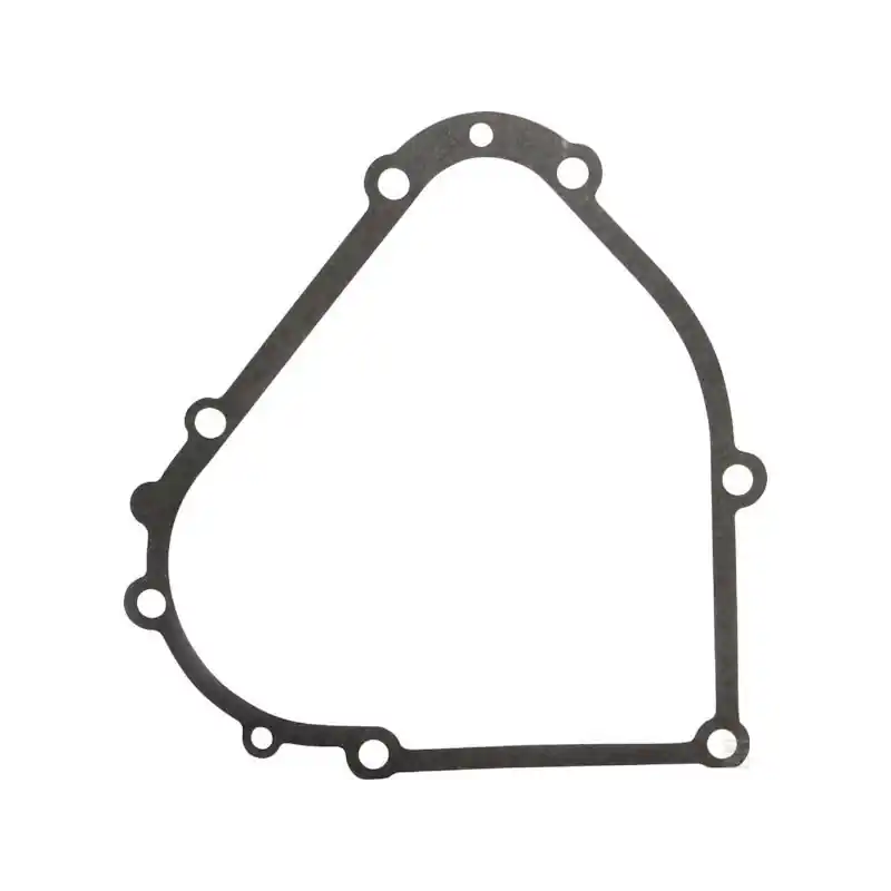 Joint carter motoculteur moteur Briggs et Stratton – 694953 Remise