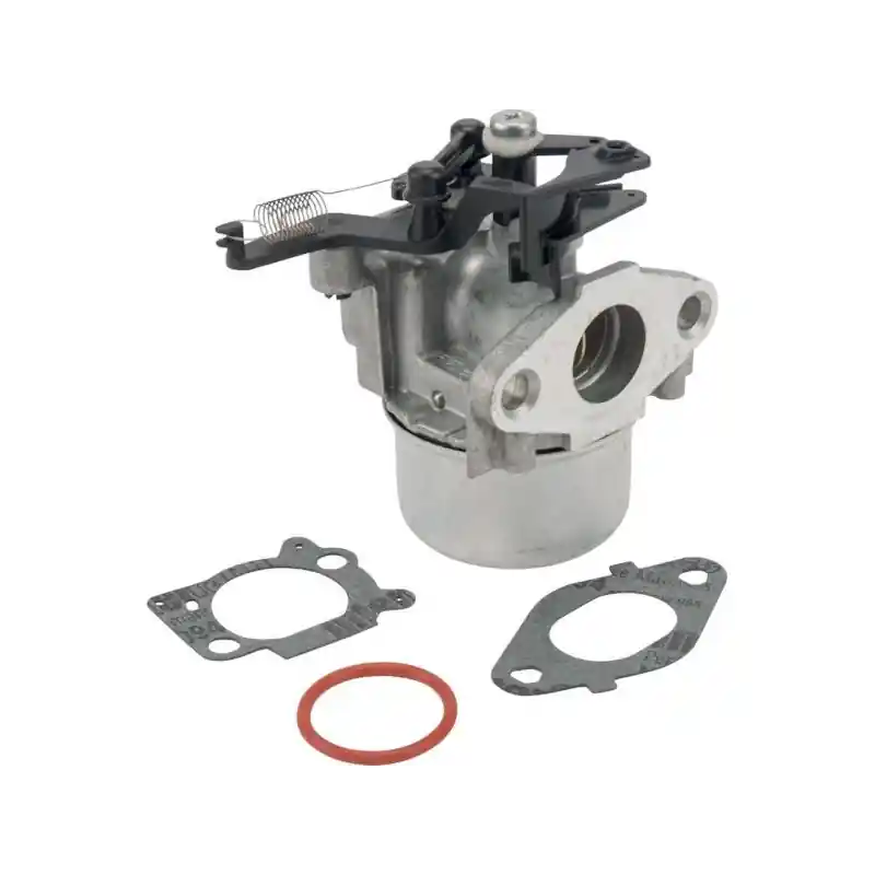 Paiement Sécurisé Carburateur moteur autoportée Briggs et Stratton – 799479