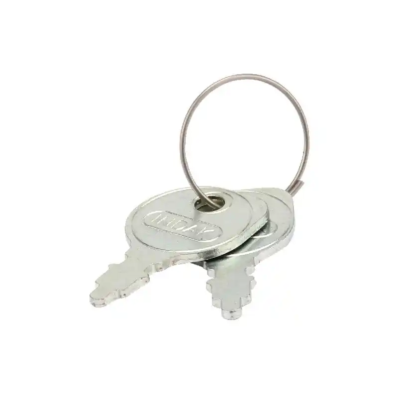 Remise Clé de contact moteur tracteur tondeuse Briggs et Stratton – 691959