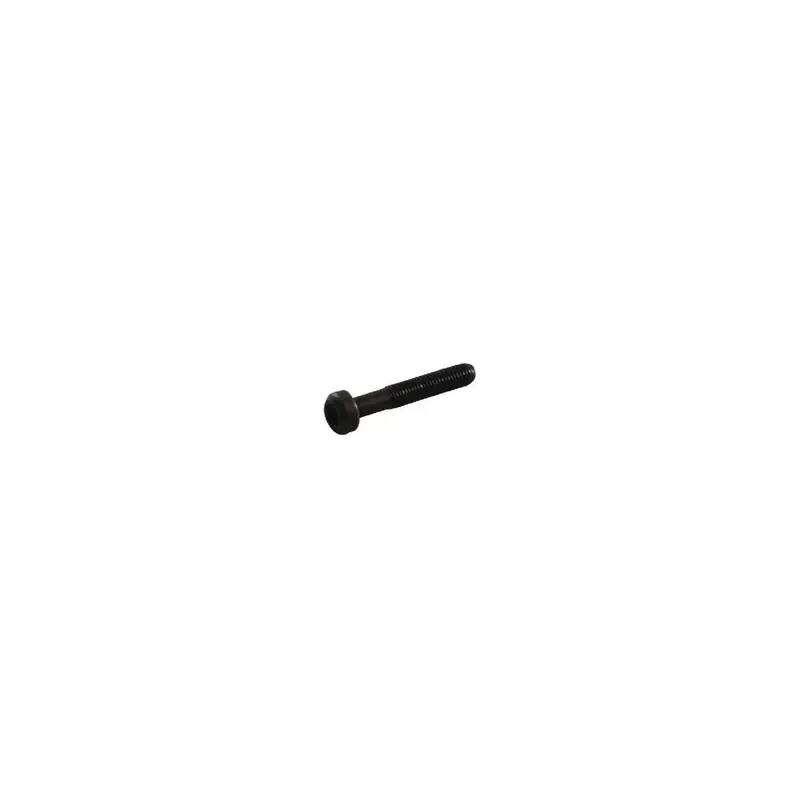 Vis de fixation de bielle moteur autoportée Briggs et Stratton – 791118 Populaire