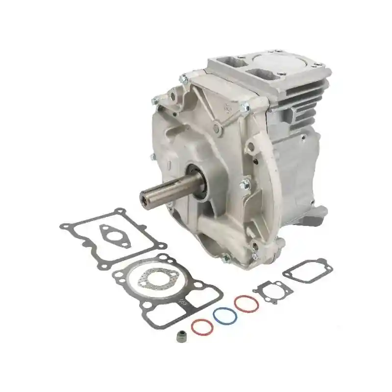 Offre Exclusive Bloc moteur tondeuse DOV 80×22,2 Briggs et Stratton – 795156A
