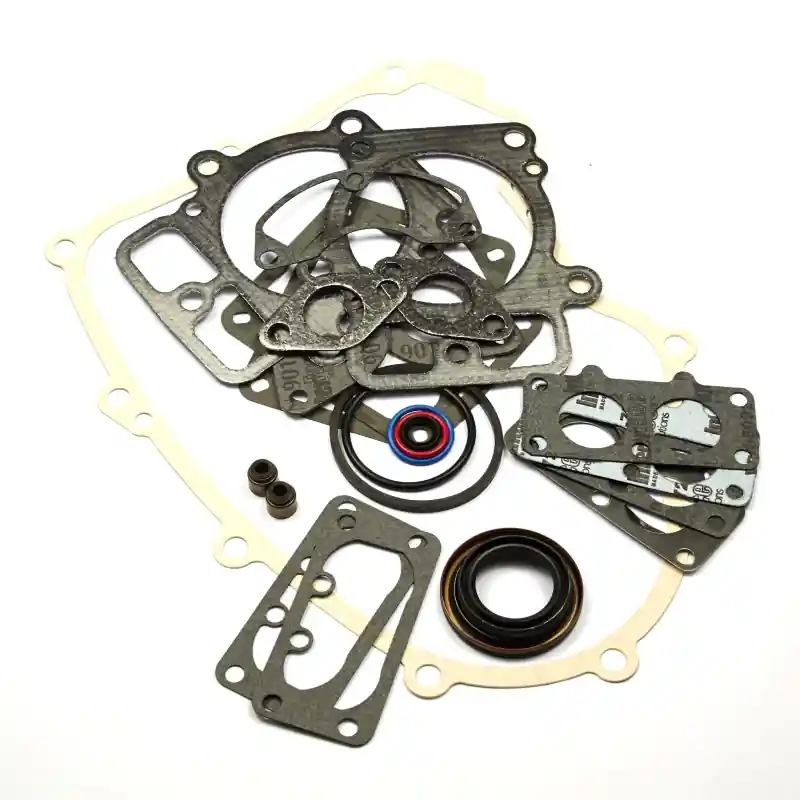 Remise Pochette de joints moteur Briggs et Stratton – 694012