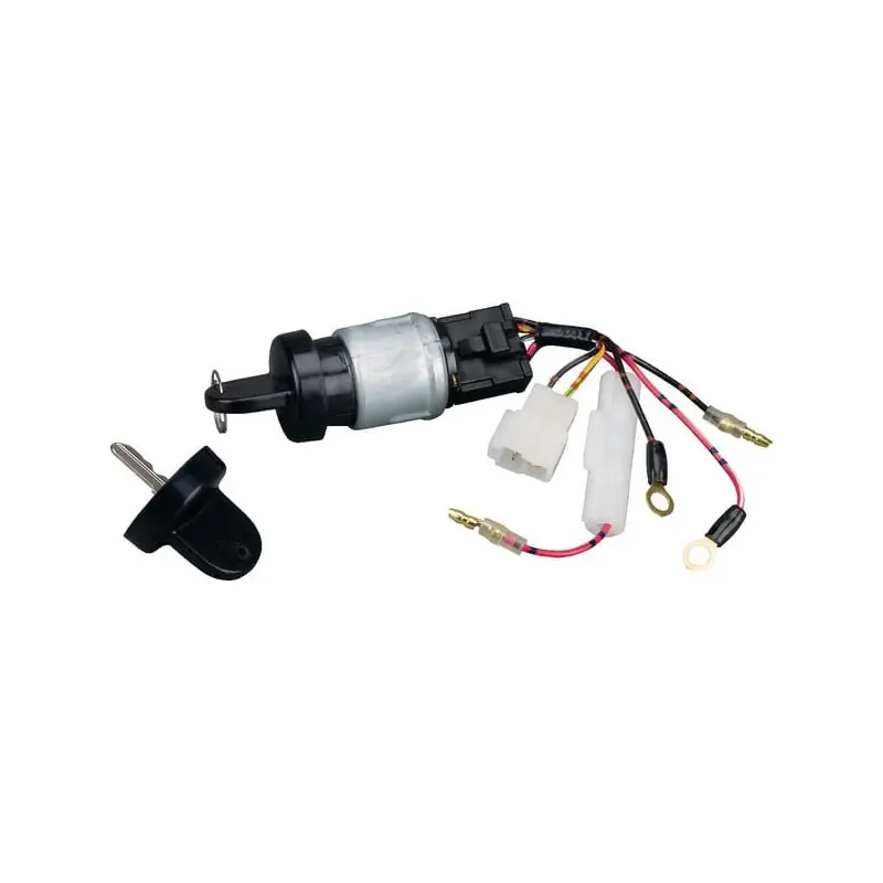 Offre Exclusive Contacteur à clé Briggs et Stratton – 712118