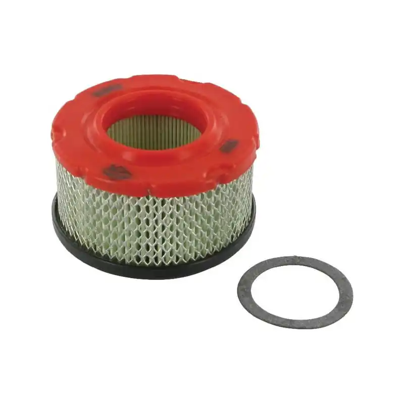 Livraison Express Filtre à air rond Briggs et Stratton – 797819